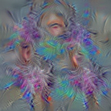 n03325584 feather boa, boa